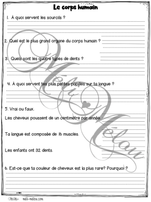 Compréhension de lecture – Le corps humain – Méli-Mélou