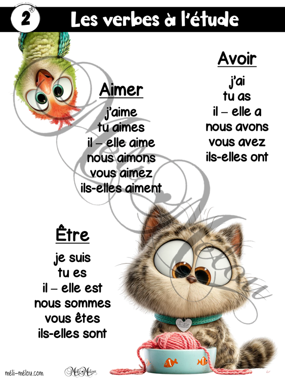 Cahier d'étude - première année – Image 5