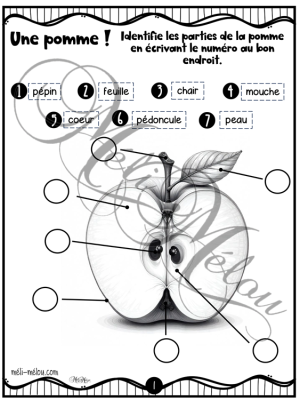 Les pommes