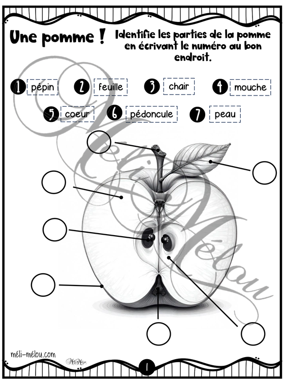 Les pommes – Image 2