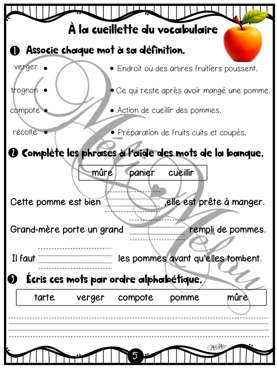 Les pommes – Image 4