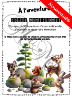 À-l'aventure!-Les-faits-numériques-première-année-New